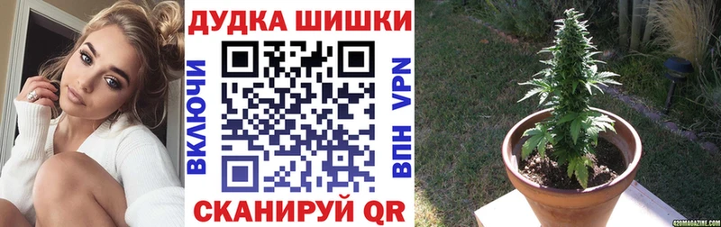 Бошки Шишки ГИДРОПОН  Сертолово 